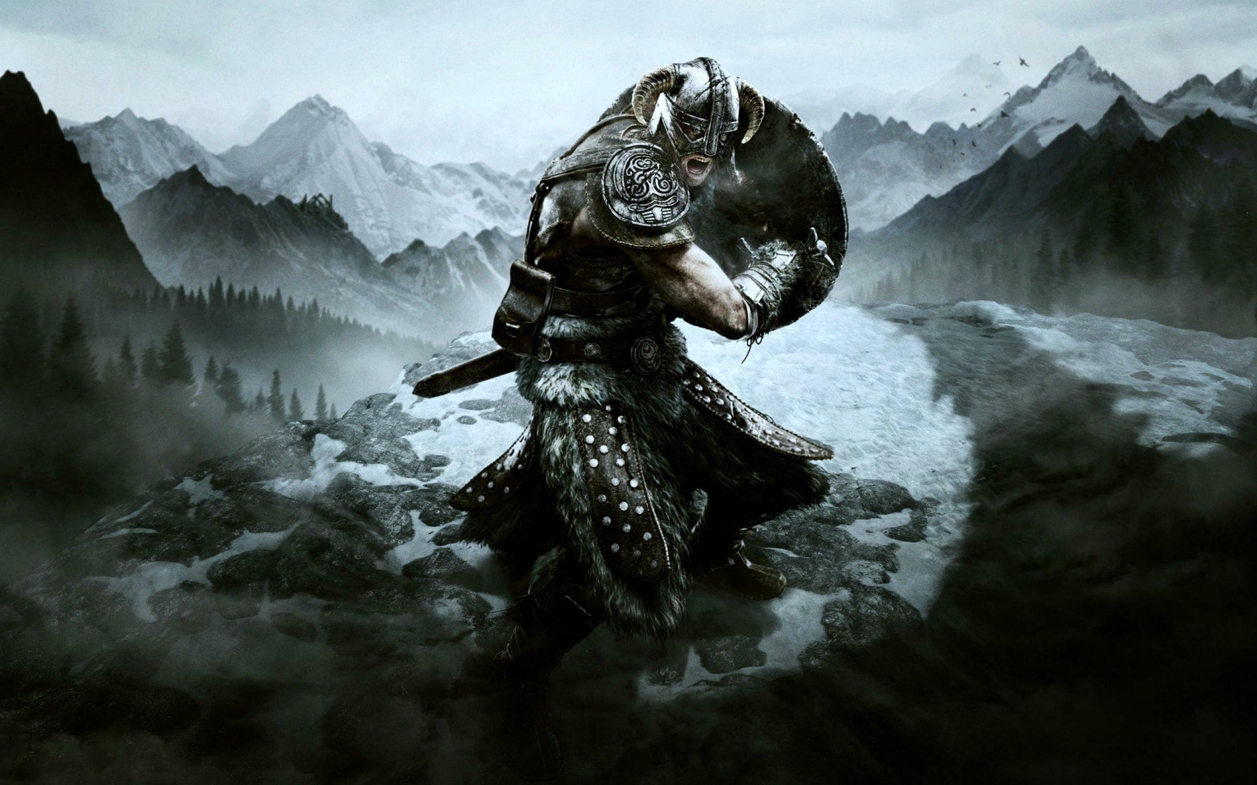 Capa de The Elder Scrolls V: Skyrim Special Edition
